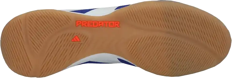 Pánské sálové kopačky Adidas Predator Elite IN modro-červené