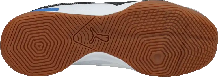 Pánské sálové kopačky Puma Pressing IV bílé3