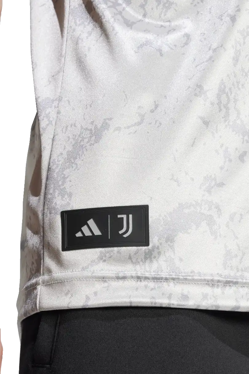Pánský speciální dres Adidas Juventus FC x NASA 24/25 LFSTLR šedý