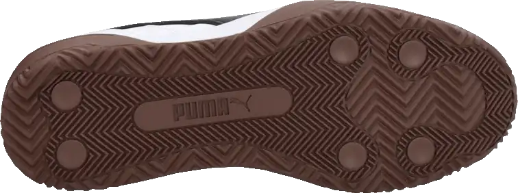 Pánská lifestylová obuv Puma Trinity bílá3