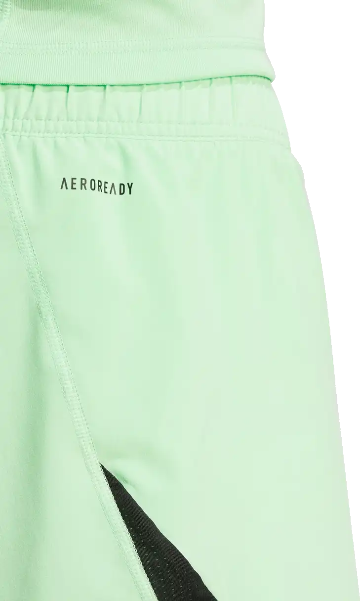Pánské brankářské legíny Adidas Tiro 25 Pro Goalkeeper zelené