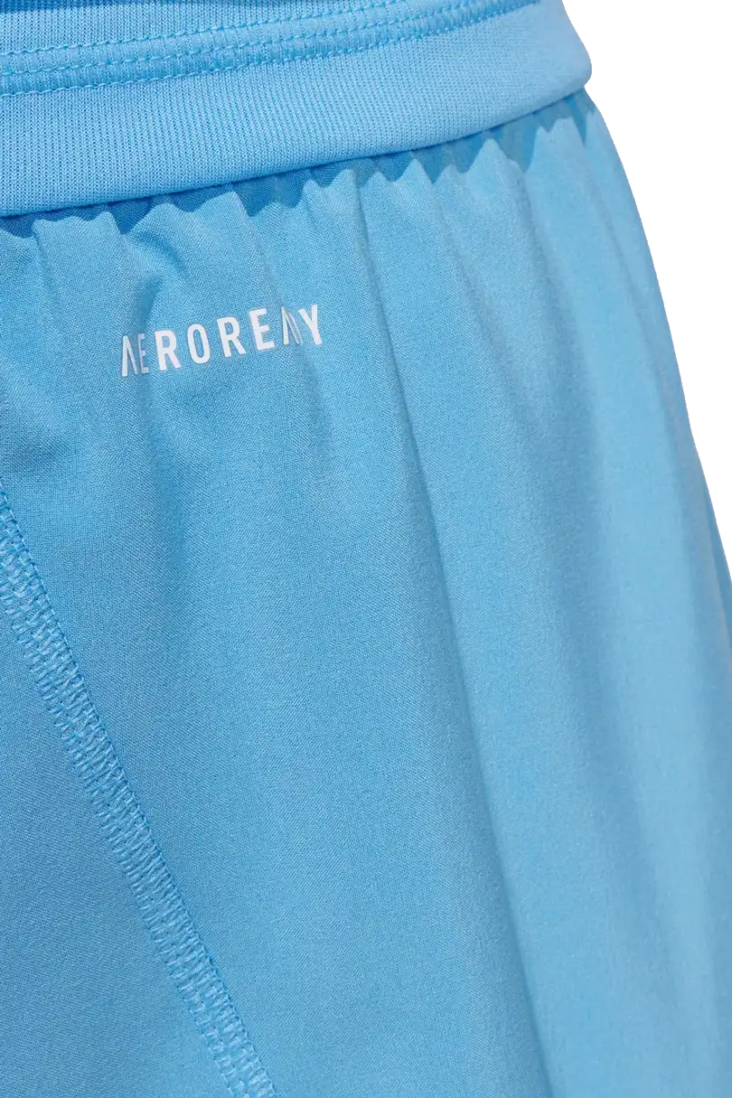Pánské brankářské legíny Adidas Tiro 25 Pro Goalkeeper modré