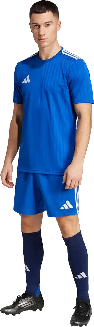 Pánský fotbalový dres Adidas Campeon 25 modrý2