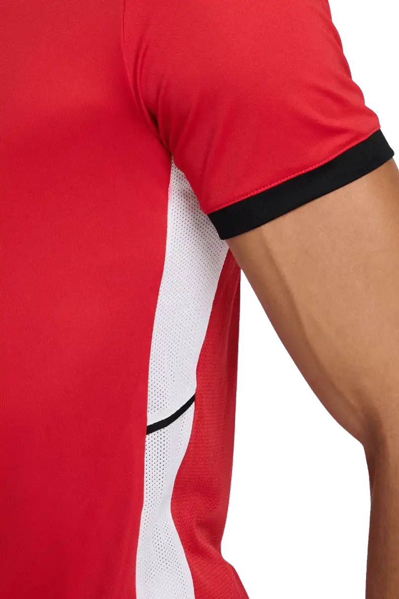 Pánské tréninkové tričko Nike Dri-FIT Academy 25 červené