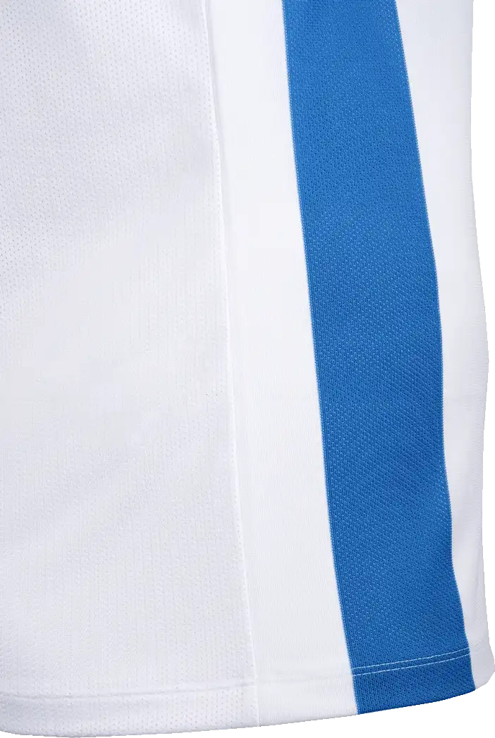 Pánský fotbalový dres Nike Striped Division V bílo-modrý2