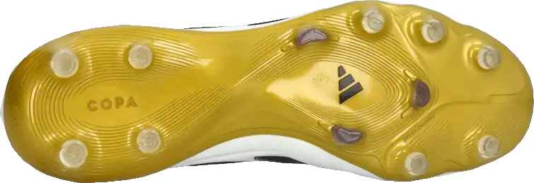 Pánské kopačky lisovky Adidas Copa Pure III Elite FG bílé4