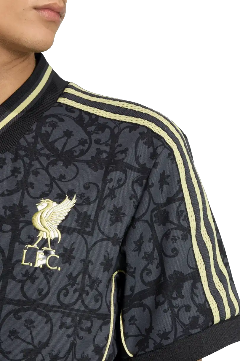 Pánský speciální dres Adidas Liverpool FC 25/26 LFSTLR černý