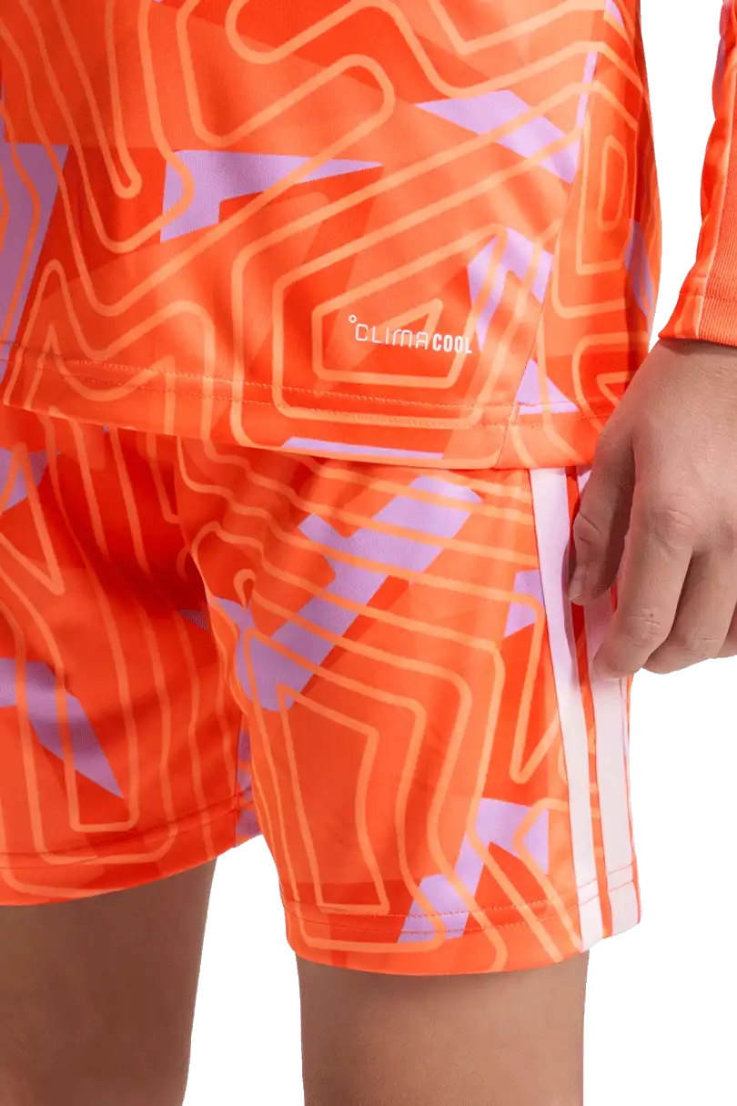 Dětský brankářský dres Adidas Tiro 26 Competition GK oranžový
