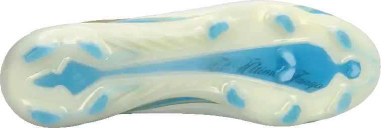 Pánské kopačky lisovky Adidas F50 Pro Messi FG bílo-blankytné