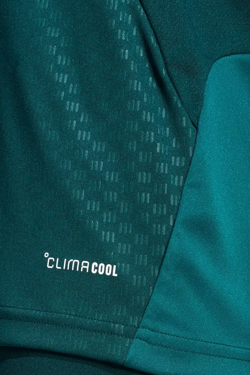 Pánské tréninkové tričko bez rukávů Adidas Real Madrid 26/27 zelené