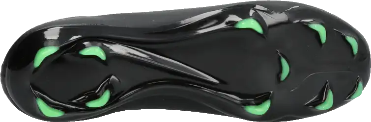 Pánské kopačky lisovky Nike Zoom Mercurial Vapor 17 Pro FG černé