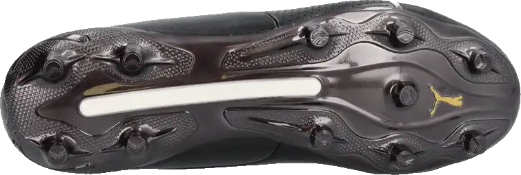 Pánské kopačky lisovky Puma King Platinum FG/AG černé2