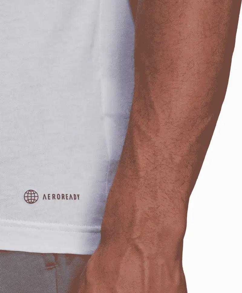Pánské tričko Adidas Entrada 22 Tee