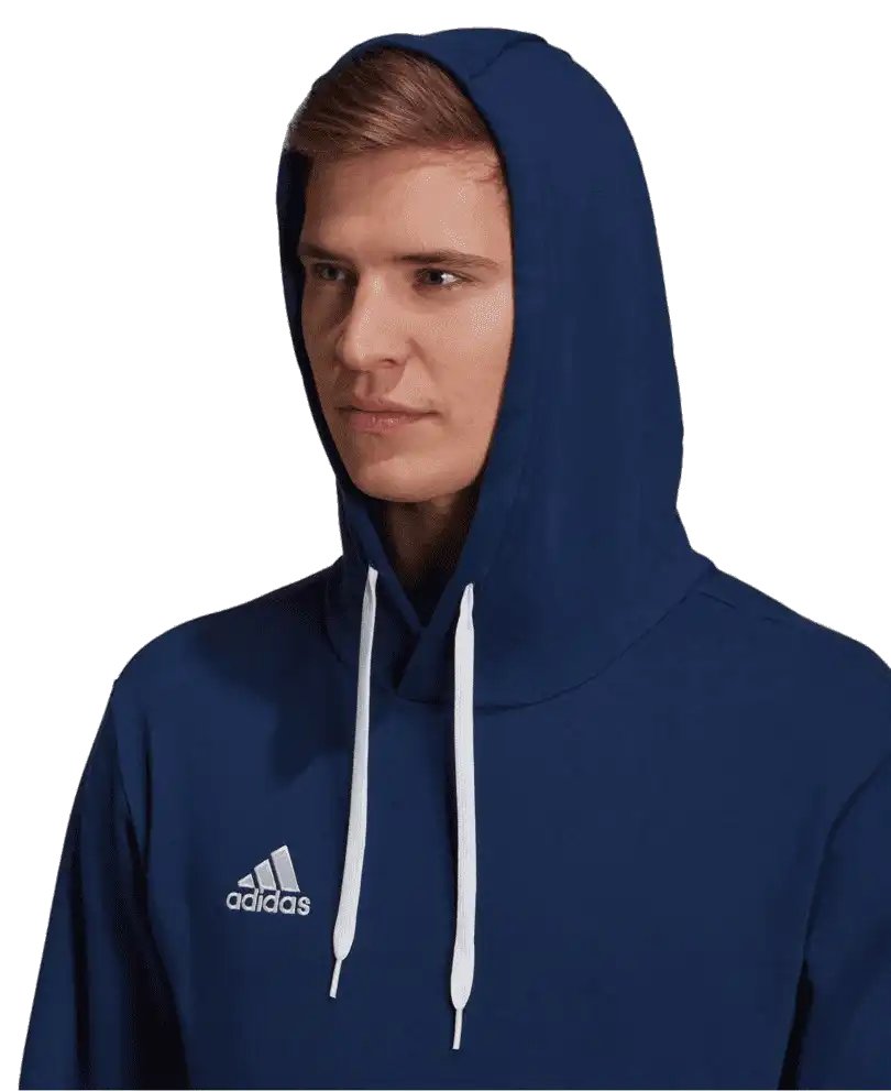 Pánská mikina s kapucí Adidas Entrada 22 Sweat modrá