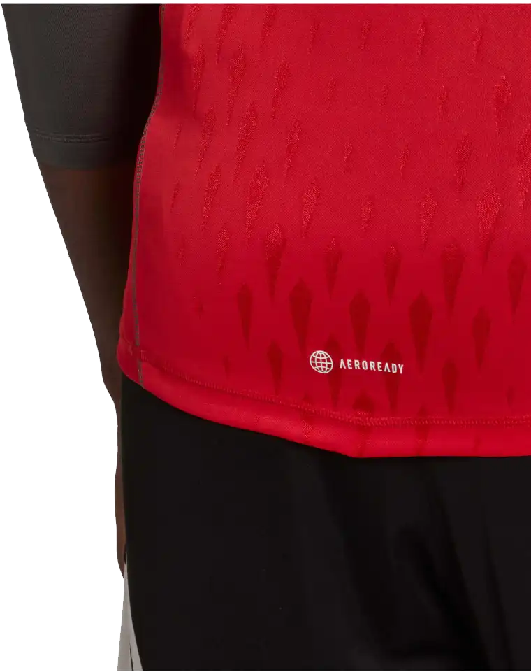 Pánský brankářský dres Adidas Tiro 23 Pro GK červený