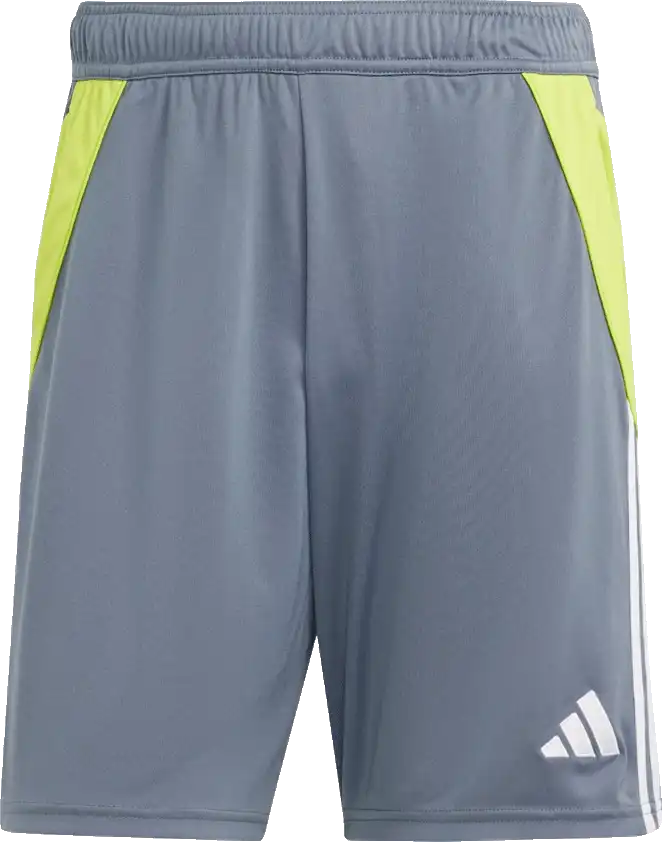 Pánské šortky Adidas Tiro 24 Training šedé