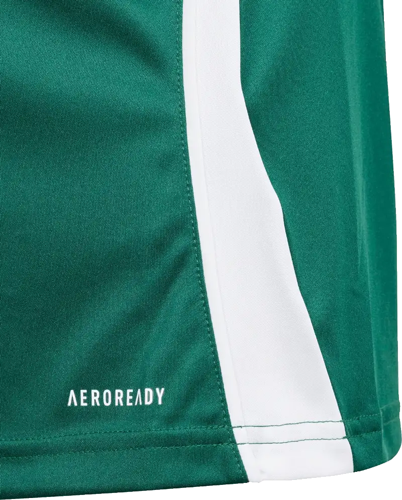 Dětský fotbalový dres Adidas Tiro 24 zelený