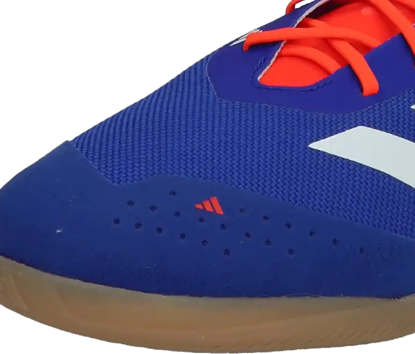 Pánské sálové kopačky Adidas Predator Elite IN modro-červené