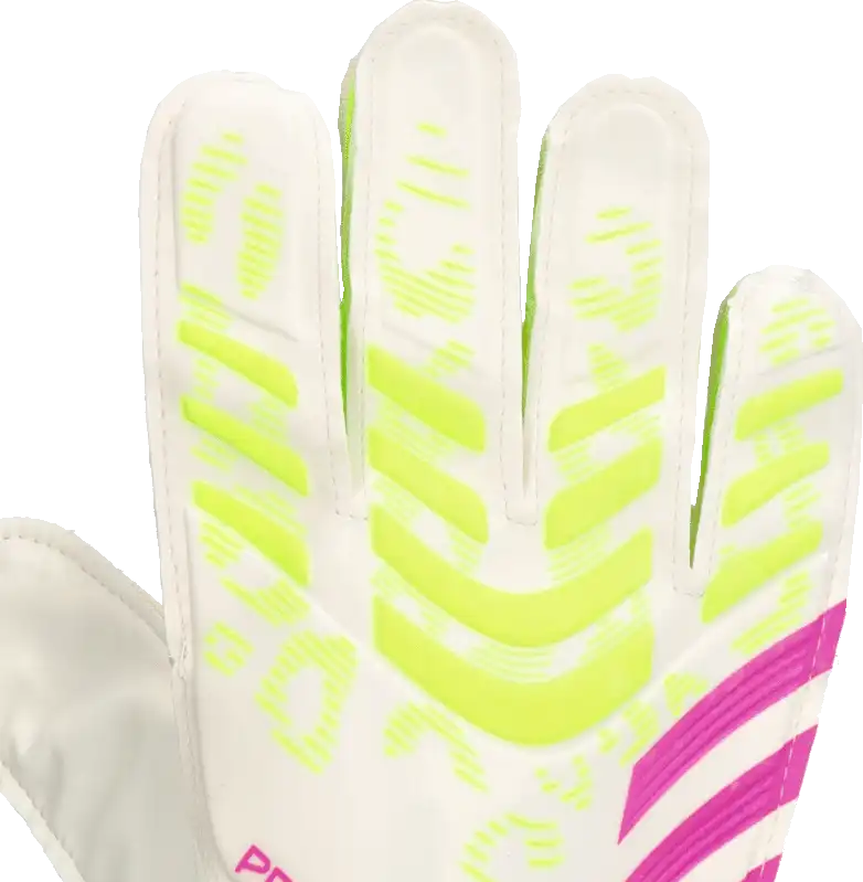 Pánské brankářské rukavice Adidas Predator Training bílé2