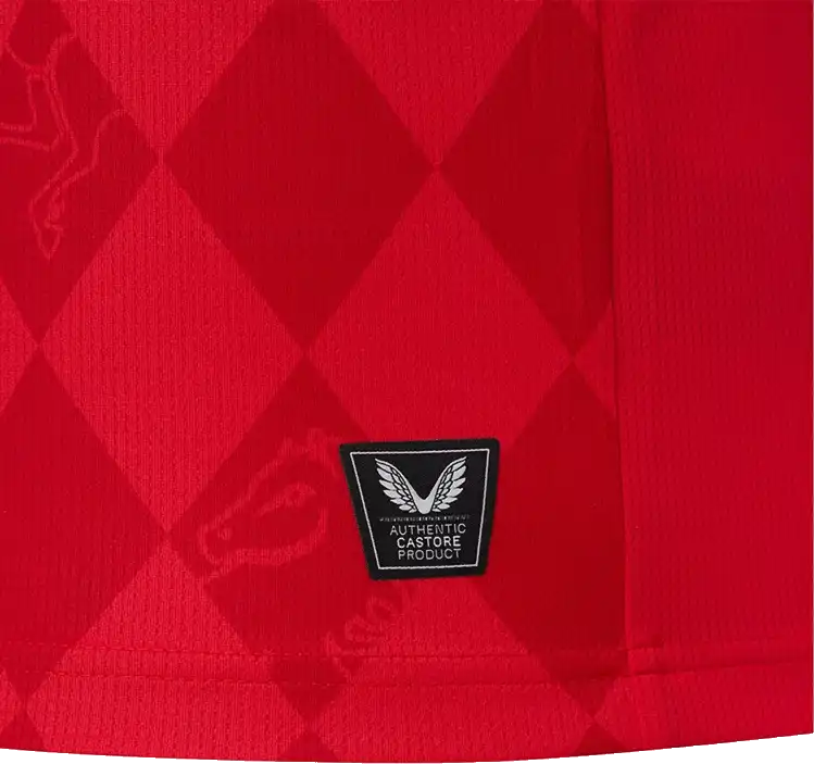 Pánský domácí fotbalový dres Castore FC Twente 25/26 červený