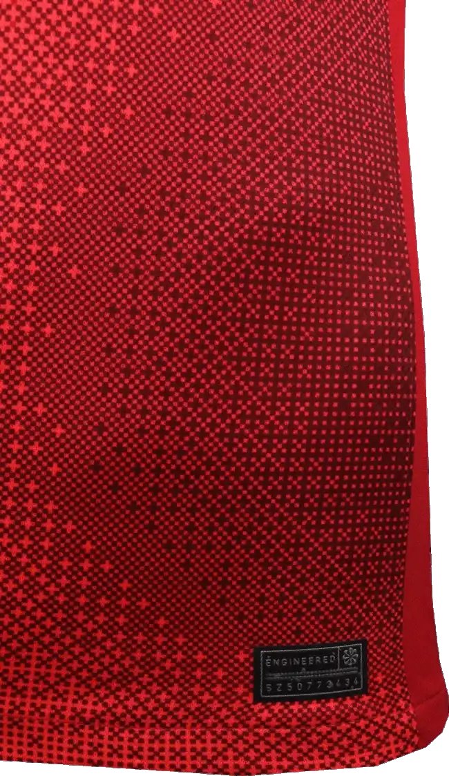 Pánský venkovní fotbalový dres Nike Polsko 2024 červený