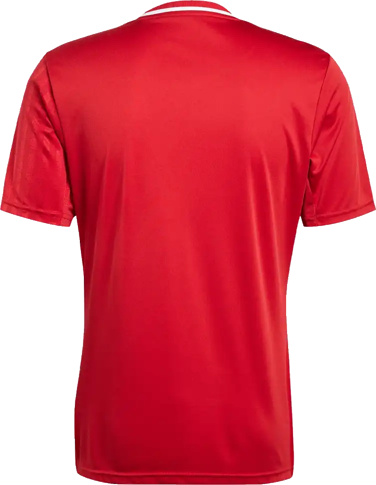 Pánský fotbalový dres Adidas Campeon 25 červený