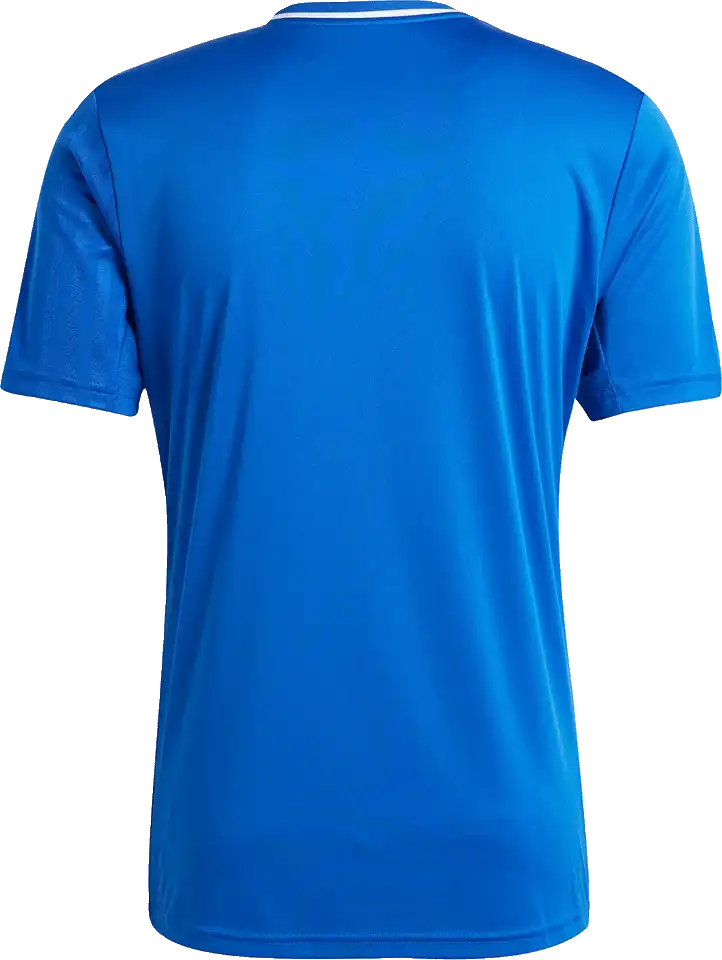 Pánský fotbalový dres Adidas Campeon 25 modrý2