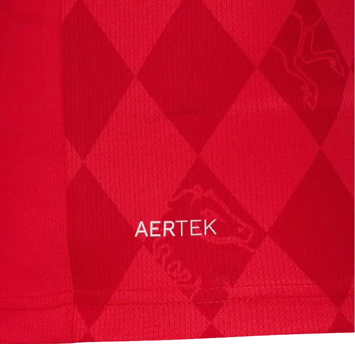 Pánský domácí fotbalový dres Castore FC Twente 25/26 červený