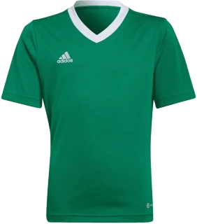 Dětský fotbalový dres Adidas Entrada 22 zelený