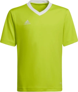 Dětský fotbalový dres Adidas Entrada 22 tmavě žlutý