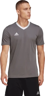 Pánský fotbalový dres Adidas Entrada 22 šedý