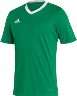 Pánský fotbalový dres Adidas Entrada 22 zelený