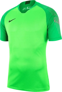 Pánský brankářský dres Nike Dry Trophy III JSY SS zelený