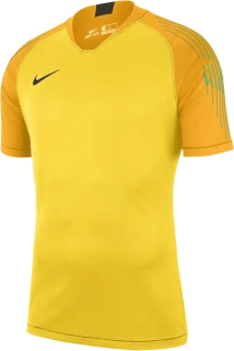 Pánský brankářský dres Nike Dry Trophy III JSY SS žlutý