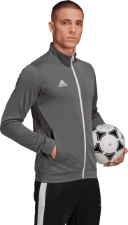 Pánská bunda na zip Adidas Entrada 22 Track šedá