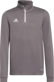 Dětská tréninková mikina Adidas Entrada 22 Training Top šedá