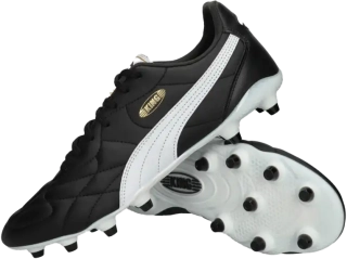 Pánské kopačky lisovky Puma King Top FG/AG černé