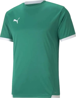 Dětský fotbalový dres Puma teamLIGA zelený