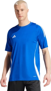 Pánský fotbalový dres AdidasTiro 24 Training modrý