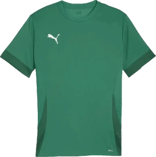 Pánský fotbalový dres Puma teamGOAL Matchday zelený