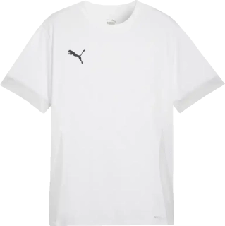 Pánský fotbalový dres Puma teamGOAL Matchday bílý