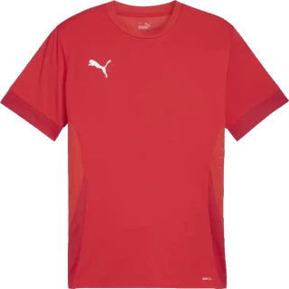 Pánský fotbalový dres Puma teamGOAL Matchday červený