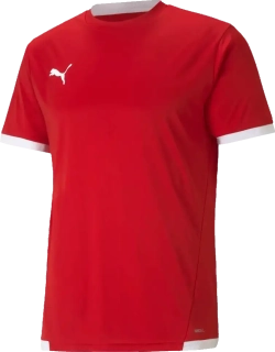Pánský fotbalový dres Puma teamLIGA červený2