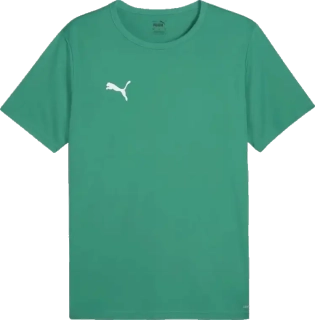 Pánský fotbalový dres Puma teamRISE Matchday zelený