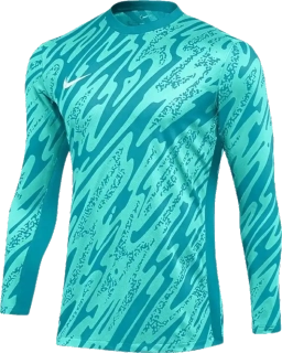 Pánský brankářský dres Nike Dri-FIT Gardien V GK blankytný