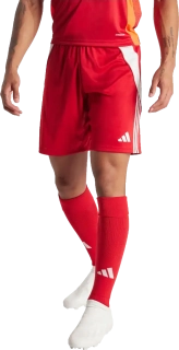 Pánské fotbalové šortky Adidas Tiro 24 Training červené
