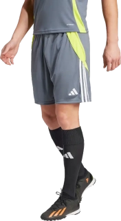 Pánské šortky Adidas Tiro 24 Training šedé