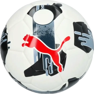 Fotbalový míč Puma Orbita 3 TB velikost 5 bílý2