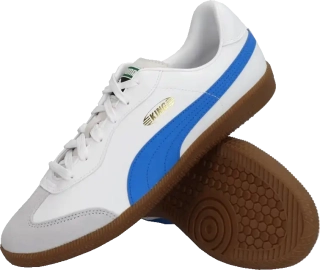 Pánská sálová obuv Puma King 21 IT bílá