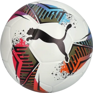 Futsalový míč Puma Futsal 1 TB velikost 4 bílý